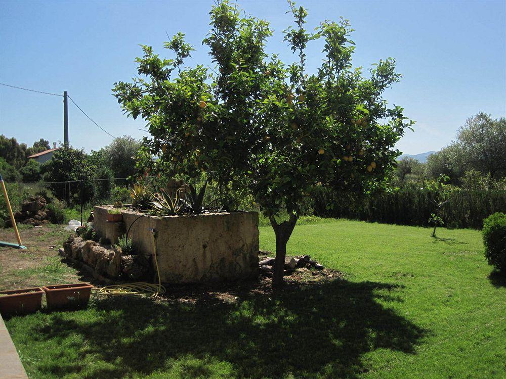 Villa Las Rosas Alghero Exterior foto